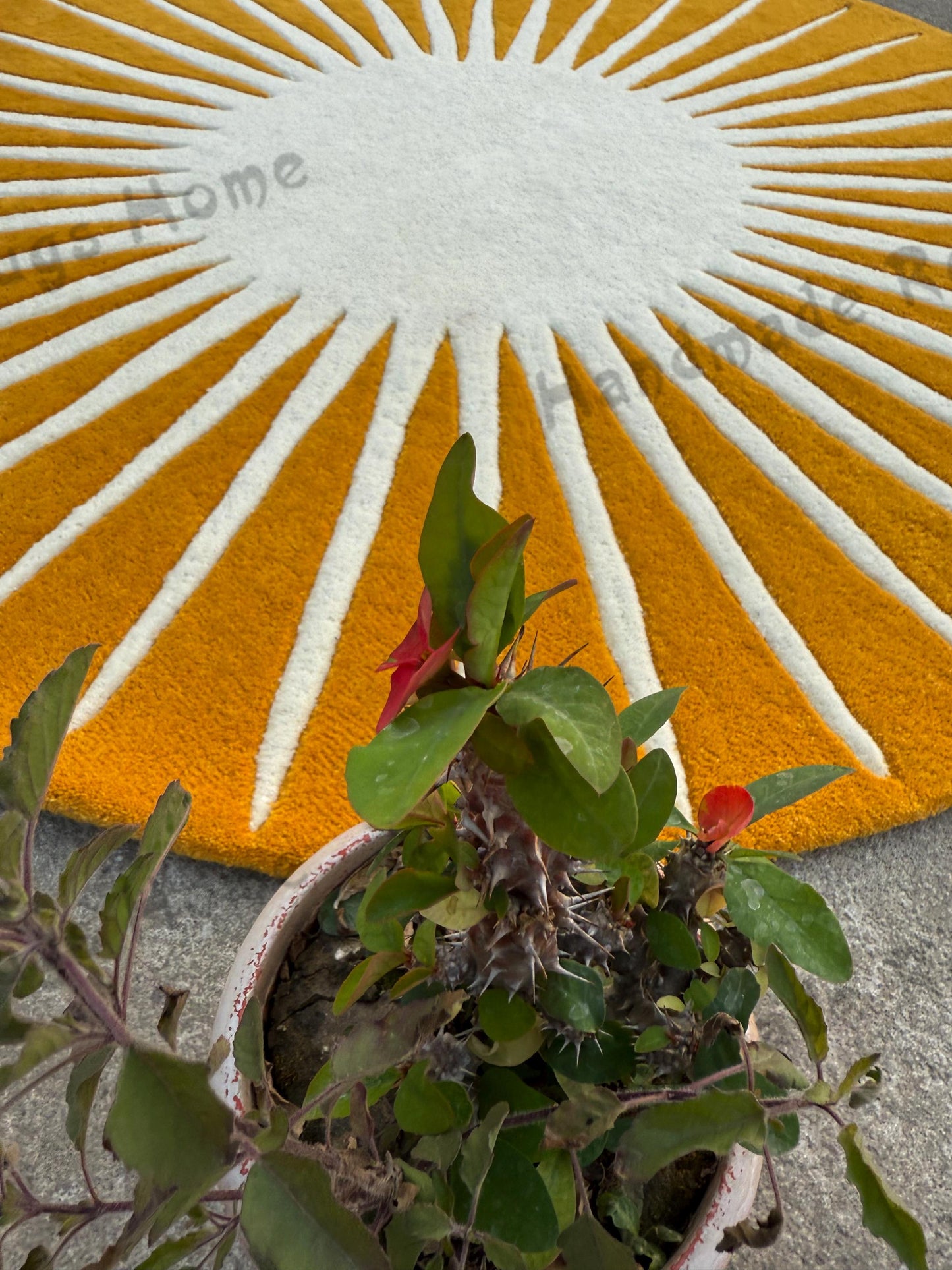 Round hand-tufted rug with a pink and cream sunburst design placed on a wooden floor near red upholstered furniture.