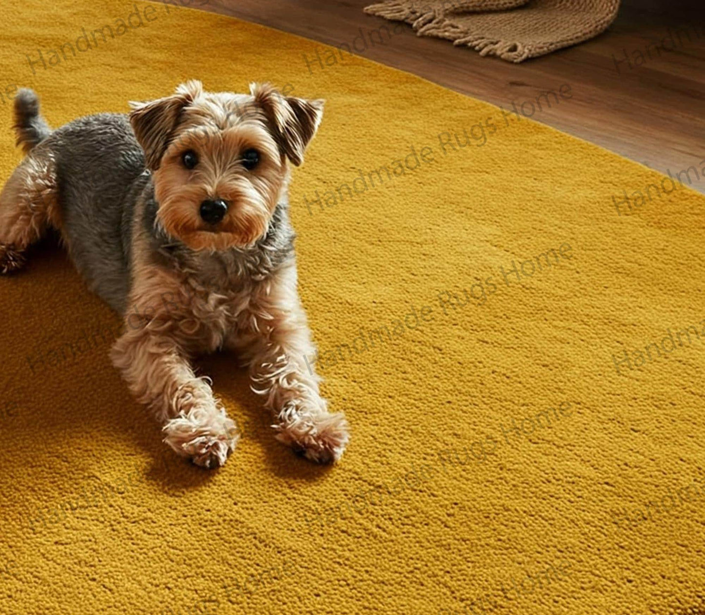 Minimalist wool area rug in warm golden hues, perfect for modern interiors.