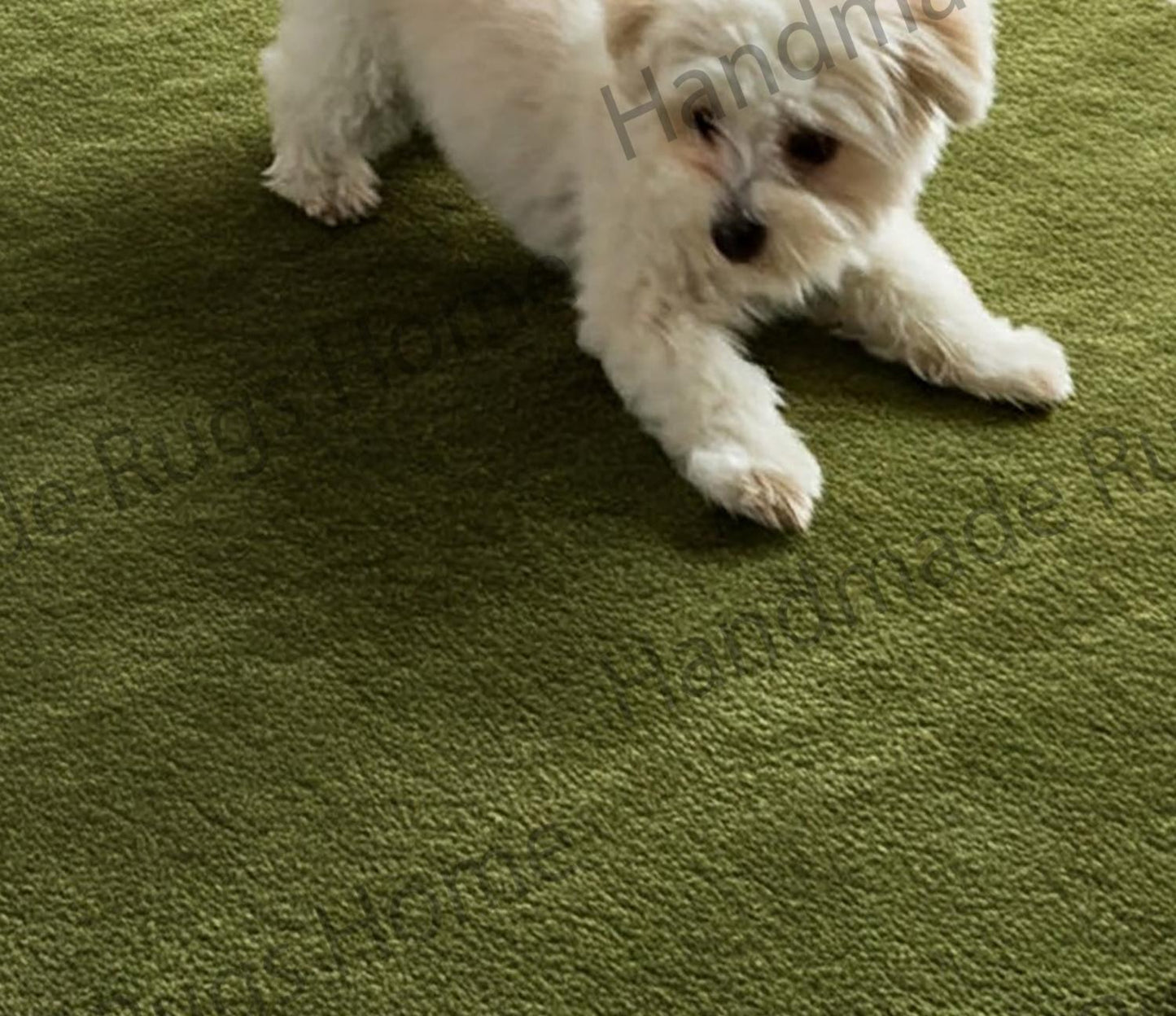 High-quality hand-tufted rug offering exceptional comfort and aesthetic appeal.